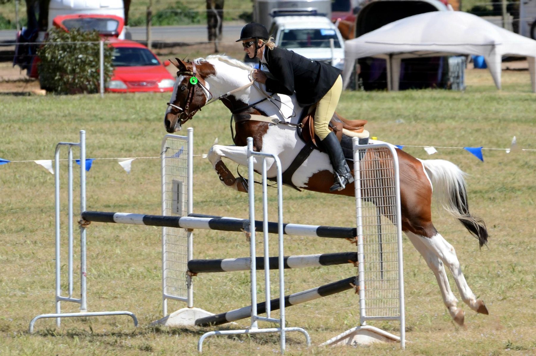 Showjumping at the Burra Show
